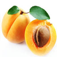 Seeds of apricots contain hydrocyanic acid